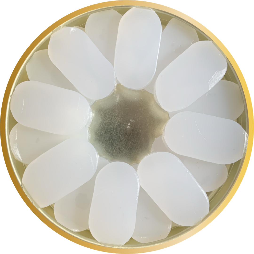 Untitled-design-13.png